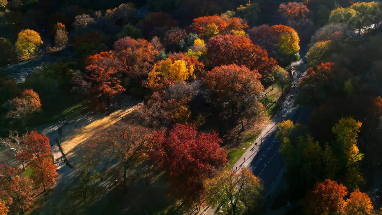 Gallery image for property 1028