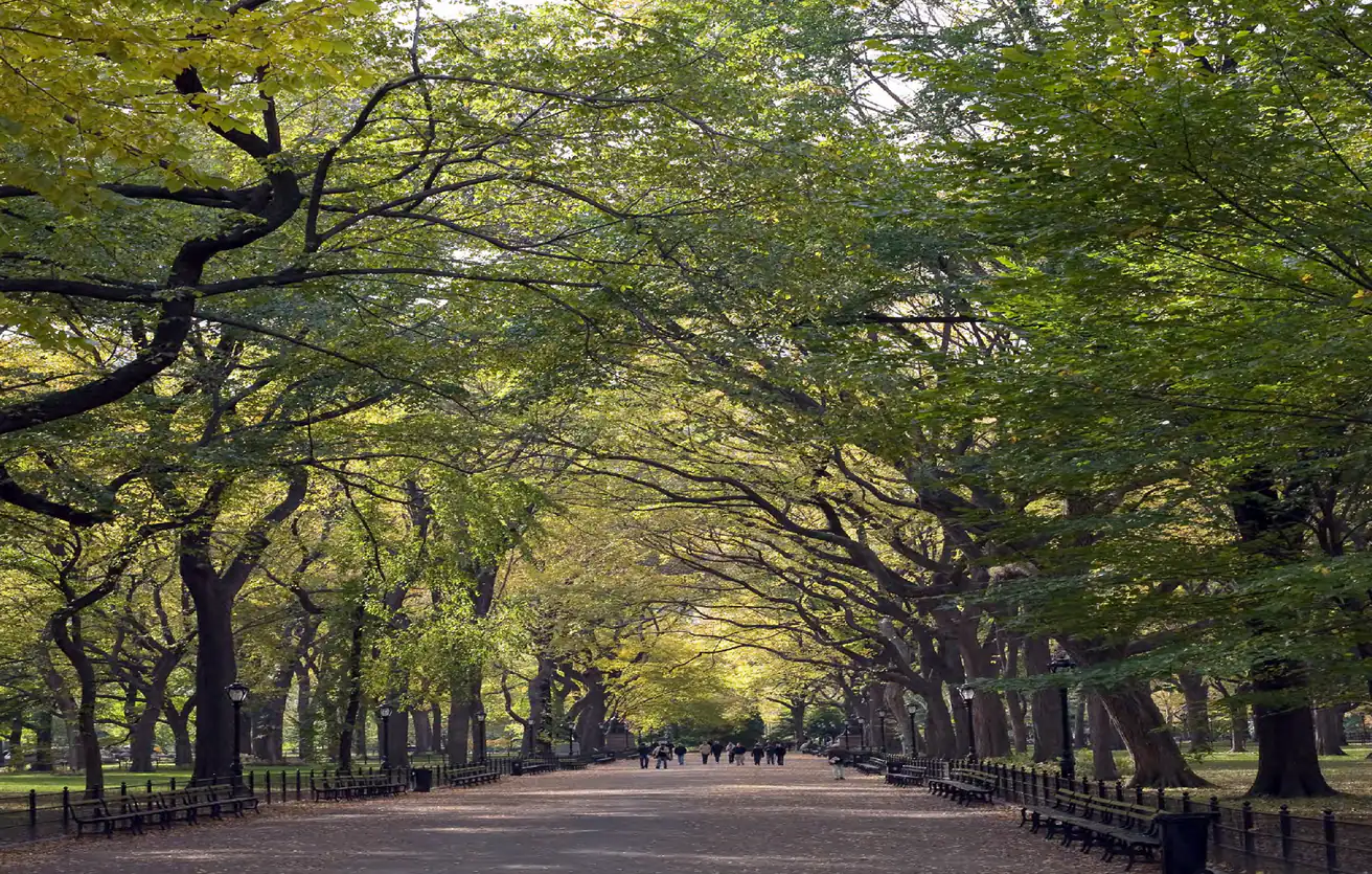 Gallery image for property 1034