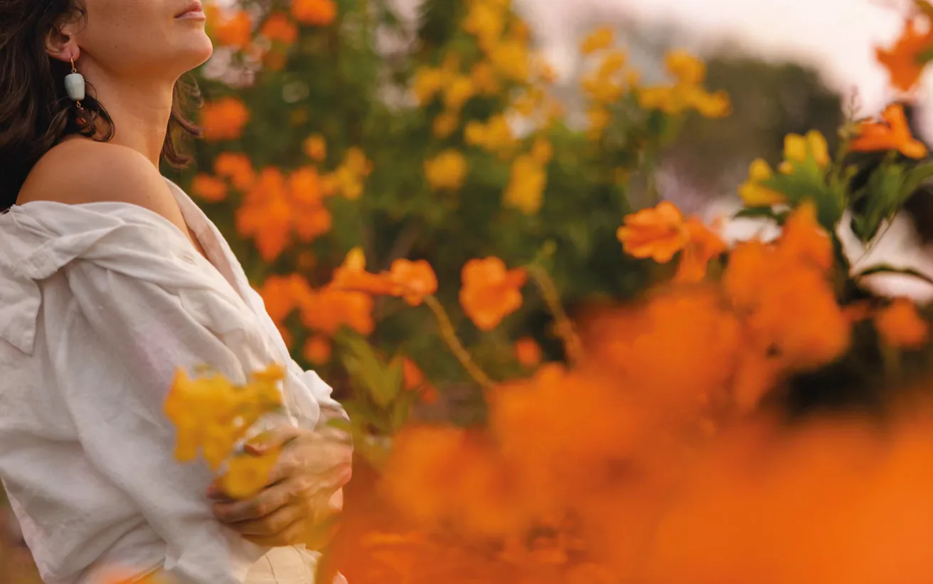 Gallery image for property 1053