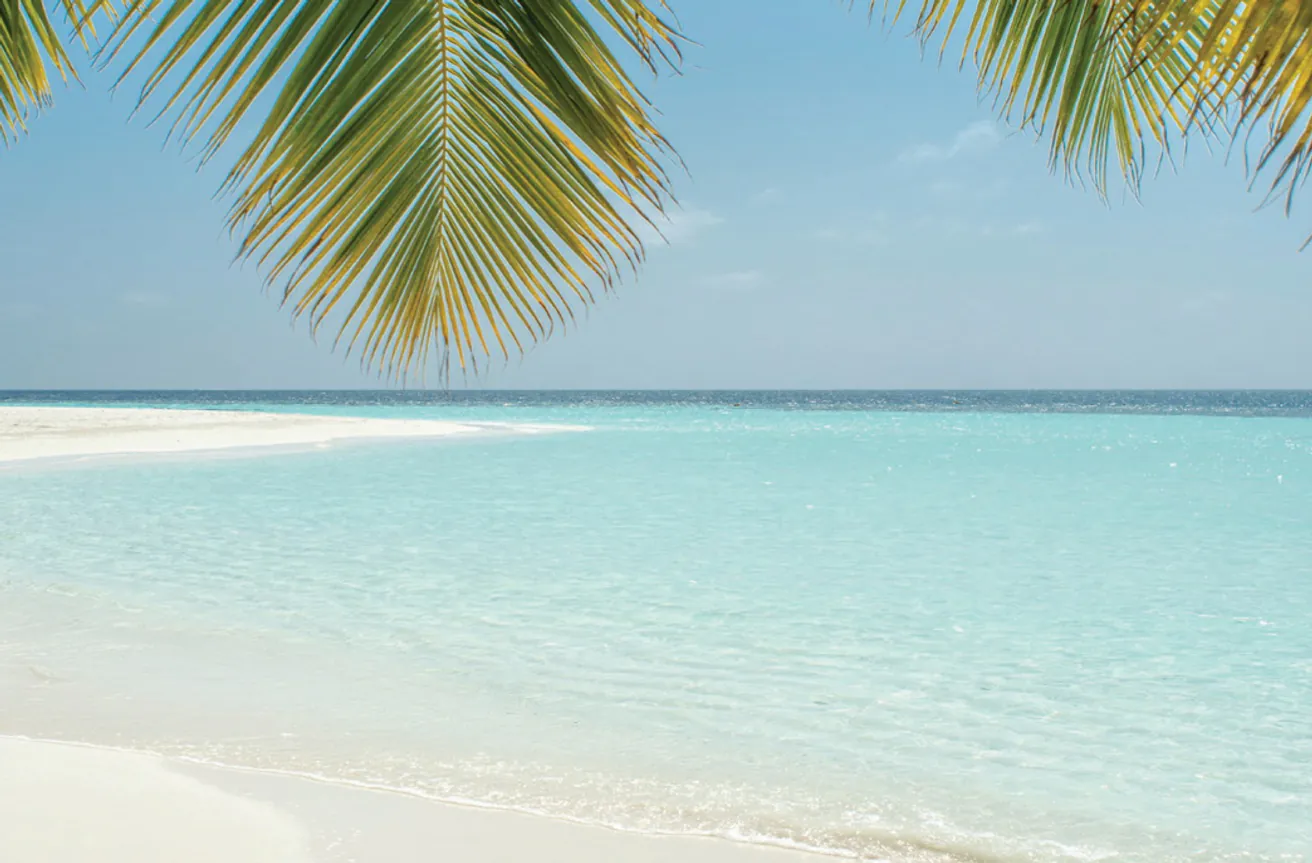 Gallery image for property 1484