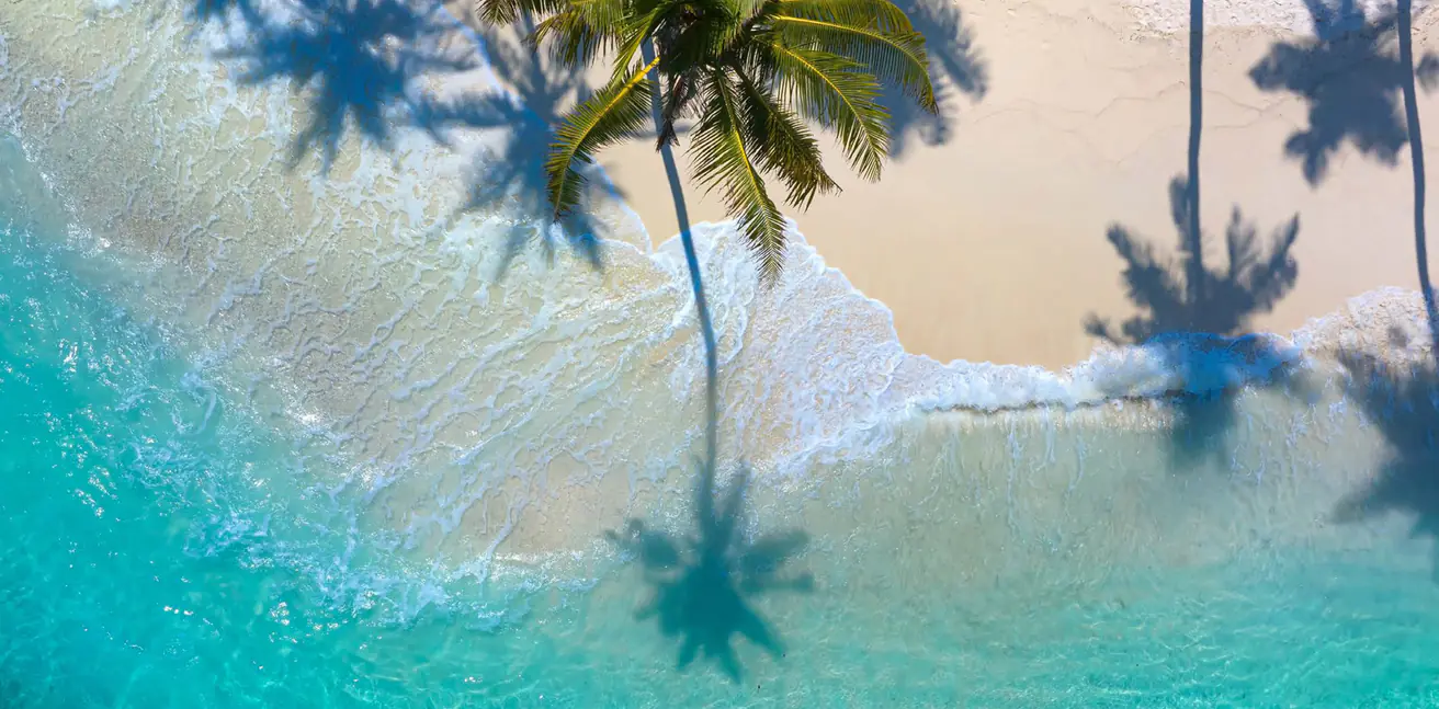 Gallery image for property 1588