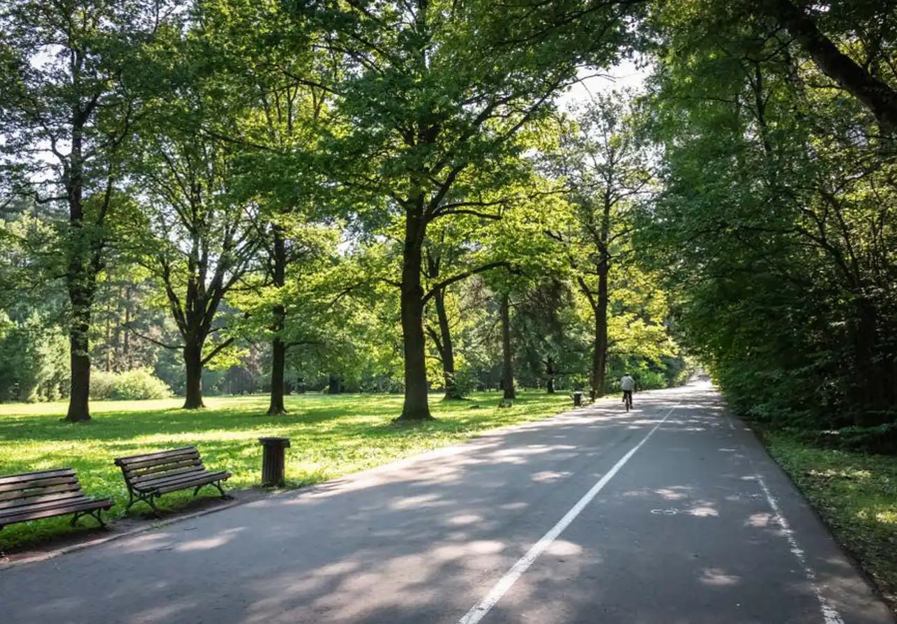 Gallery image for property 1642