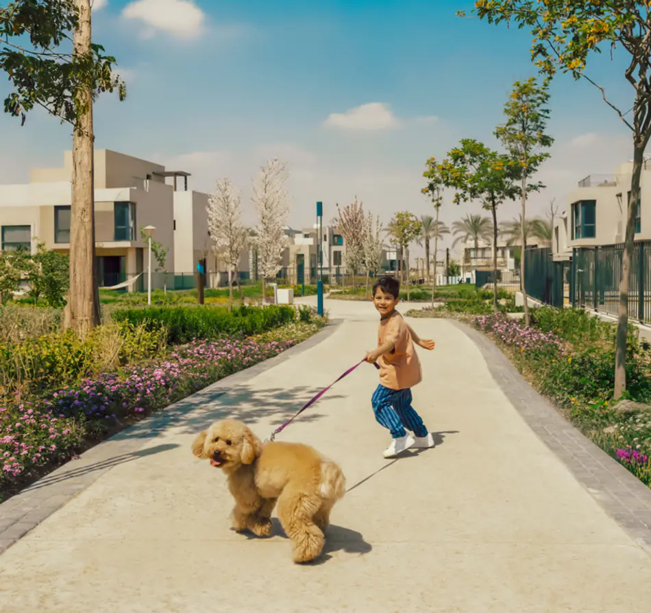 Gallery image for property 1914