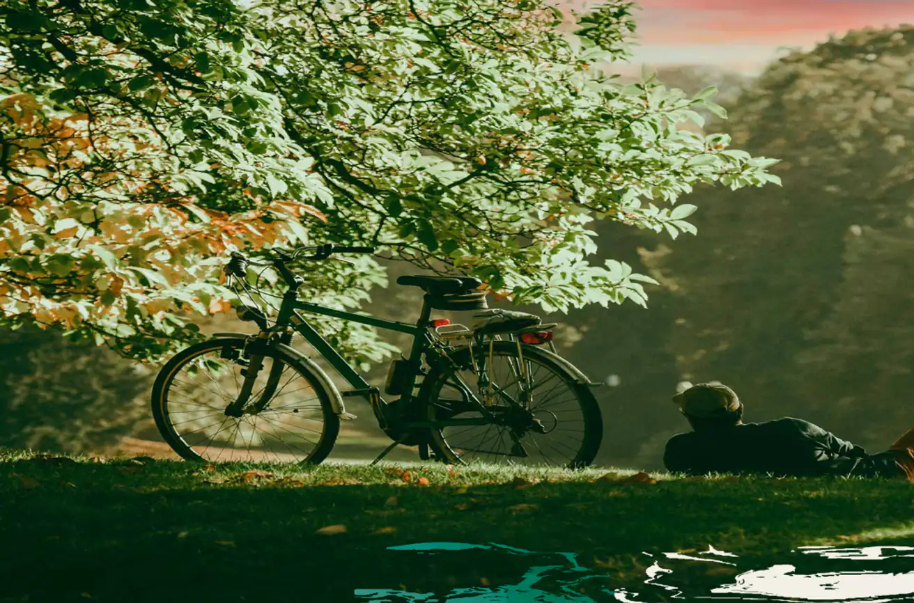 Gallery image for property 2052