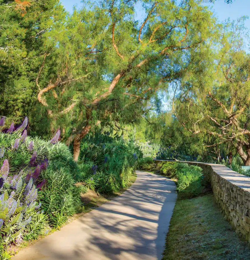 Gallery image for property 2058