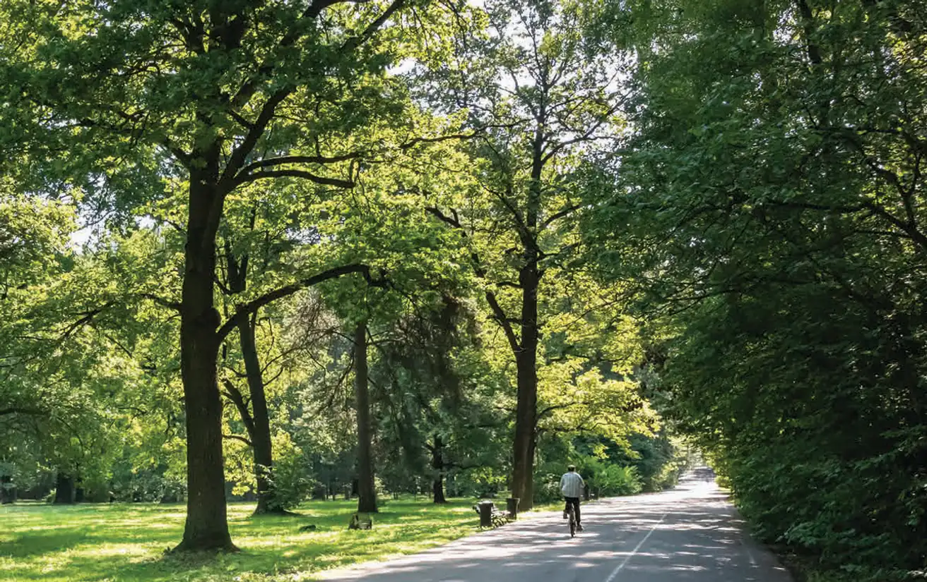 Gallery image for property 322